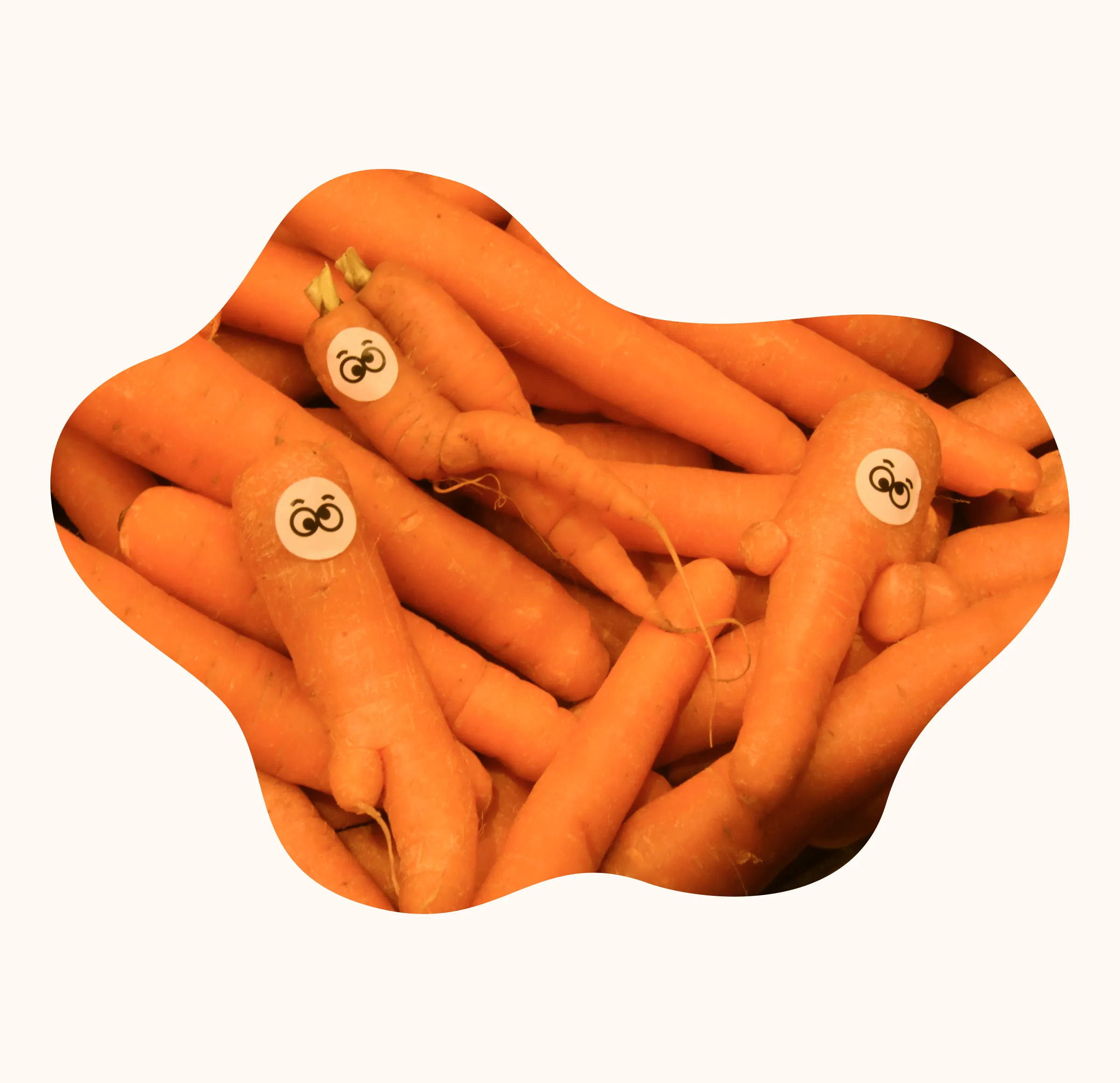 Carrots